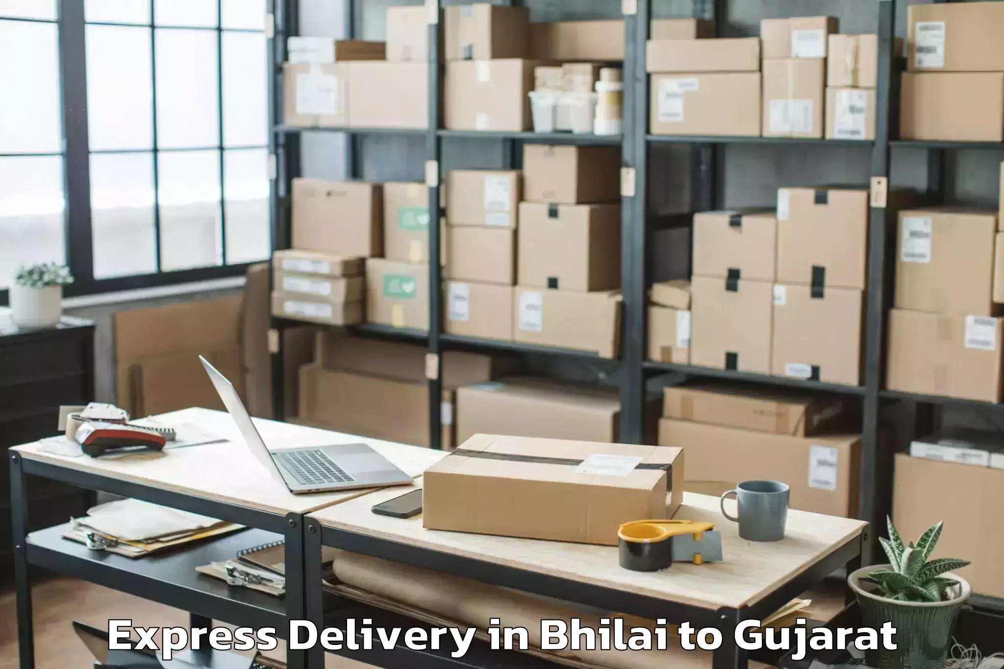 Top Bhilai to Veer Narmad South Gujarat Univ Express Delivery Available